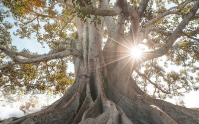 Superpower! Amazing new documentary on lucid dreams, intuition and reality