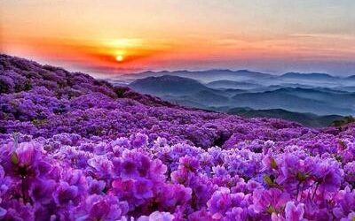 Sleep ritual for tonight